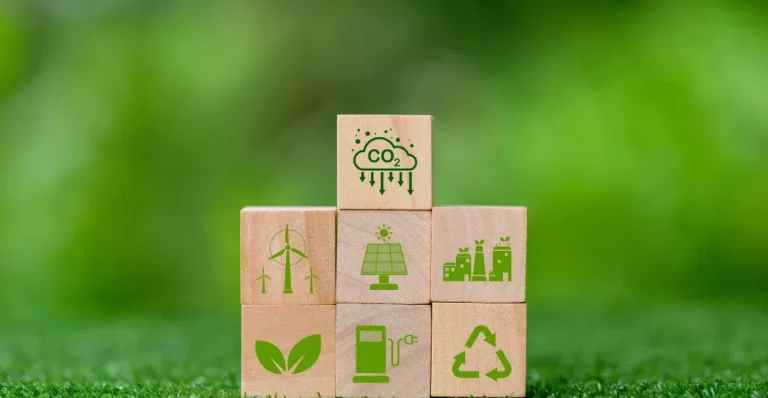 Climate project management
