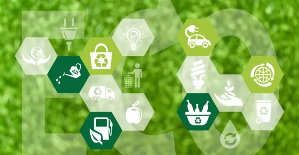BECCS project combining biomass energy generation with carbon capture transport and geological storage