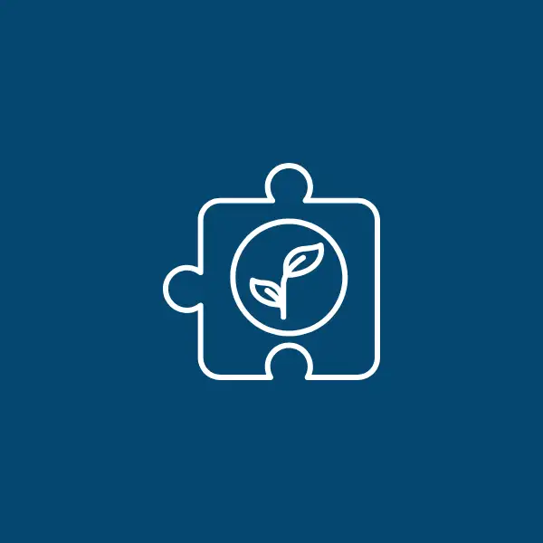 Climate Project Development