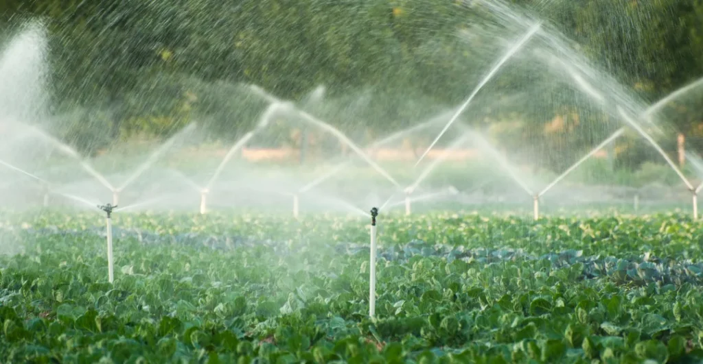 Micro-Irrigation Efficiency Projects service provider, manufacturer, supplier, exporter and installation contractor by Mechwat for water credit enablement