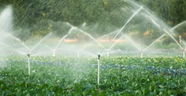 Micro-Irrigation Efficiency Projects service provider, manufacturer, supplier, exporter and installation contractor by Mechwat for water credit enablement