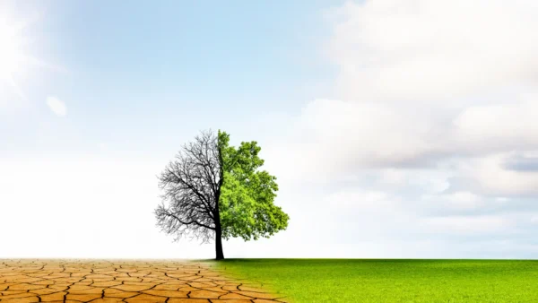 Nature-based solutions project integrating forests wetlands agriculture and grasslands for carbon and nutrient credits
