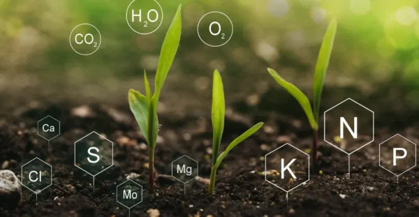 Nitrogen credit solutions for nutrient pollution reduction, wastewater treatment and nitrogen recovery projects