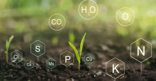 Nutrient credit-linked recovery systems service provider, manufacturer, supplier, exporter and installation contractor by Mechwat for climate-tech & credit enablement