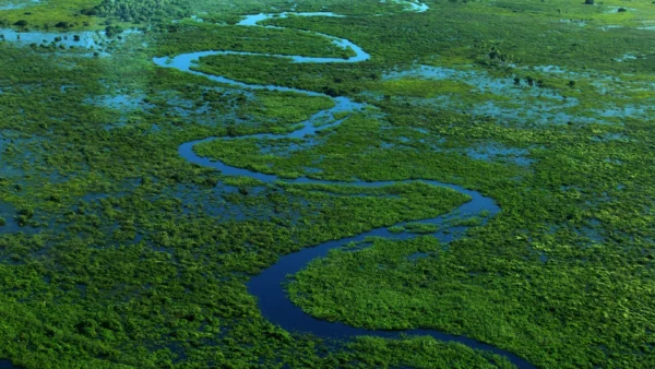 Peatland and coastal wetland restoration project improving carbon storage hydrology biodiversity and water quality