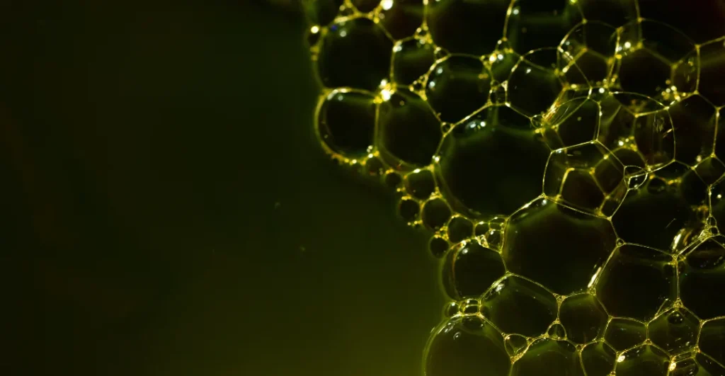 Phosphorus Capture Solutions service provider, manufacturer, supplier, exporter and installation contractor by Mechwat for nutrient credit enablement