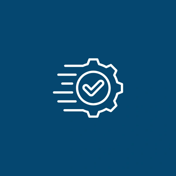 Project Execution Services